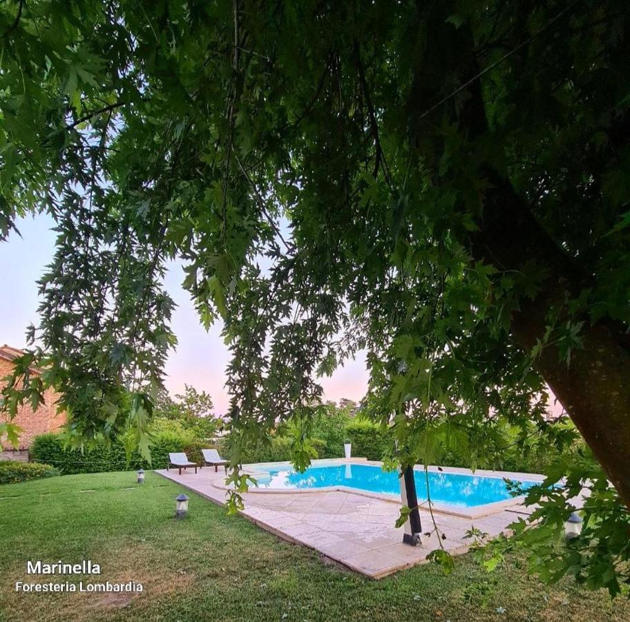 Marinella B&B Cornale Bagian luar foto