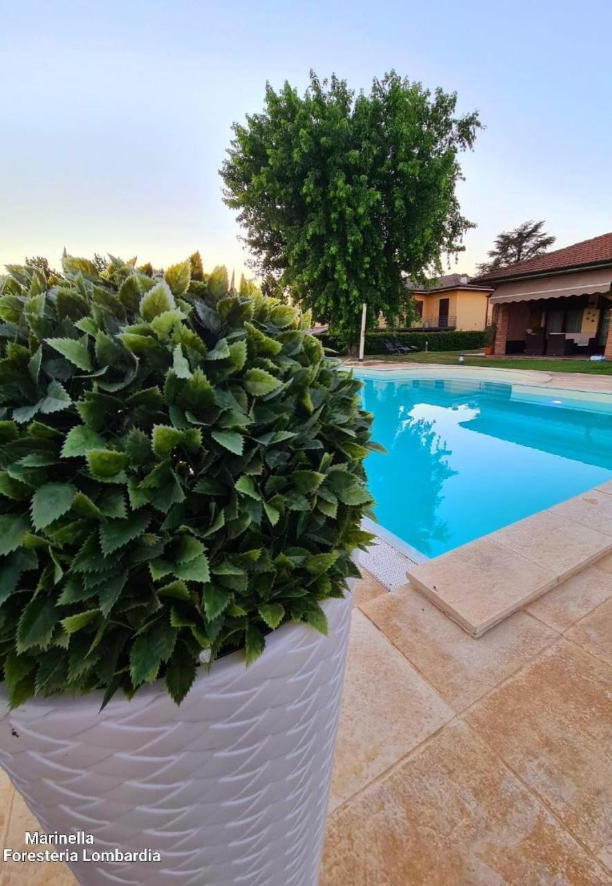 Marinella B&B Cornale Bagian luar foto