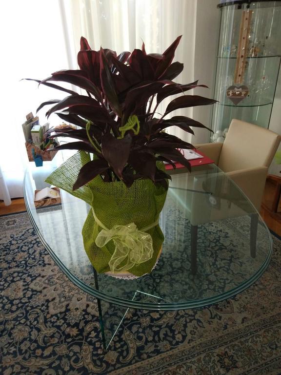 Marinella B&B Cornale Bagian luar foto